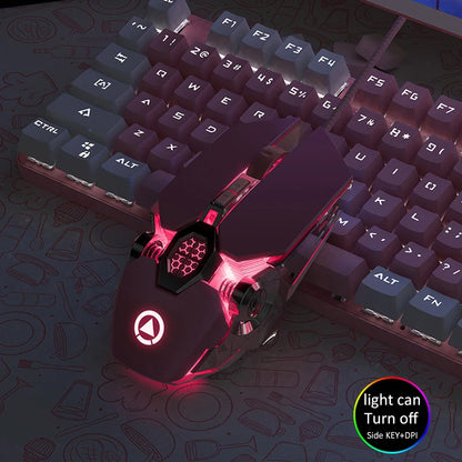 Wired RGB Ergonomic Gaming Mouse