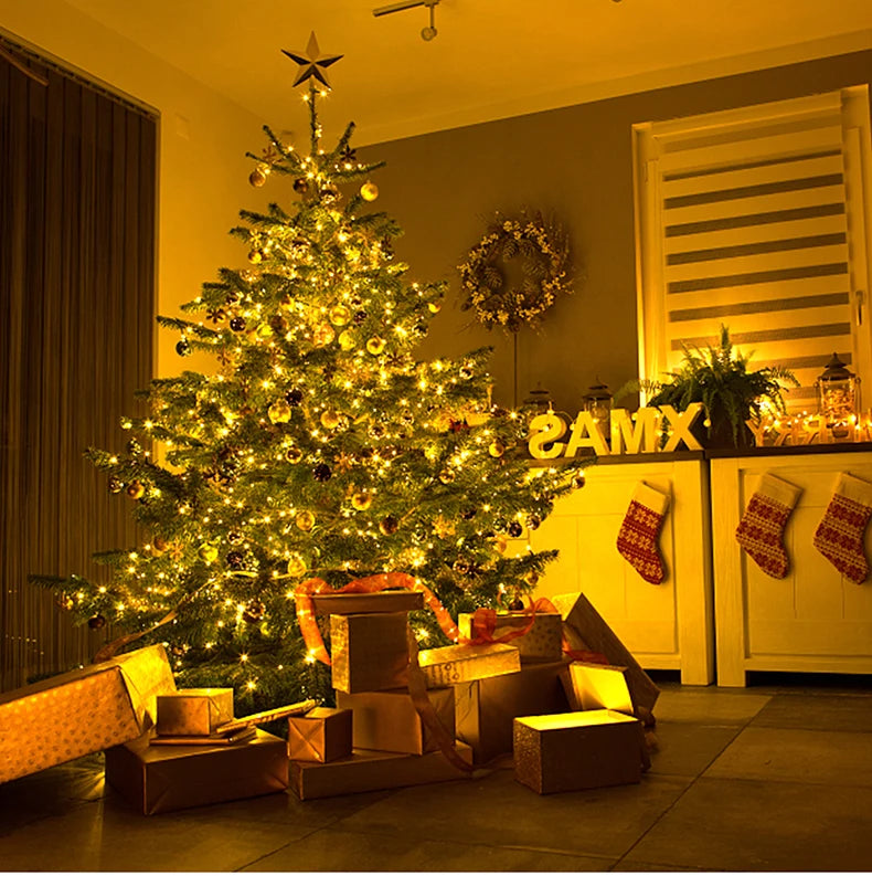 50M/100M Outdoor Christmas Fairy String Lights